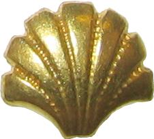 seashells