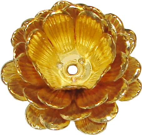 flower roses