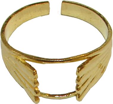 anillos rings