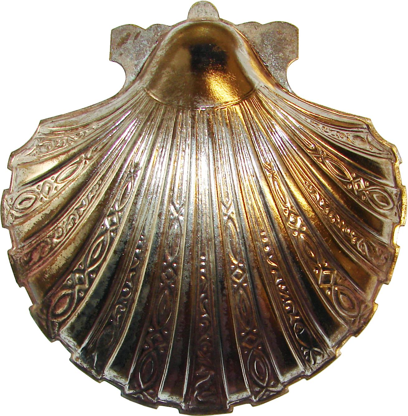 seashell