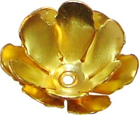 rose flower