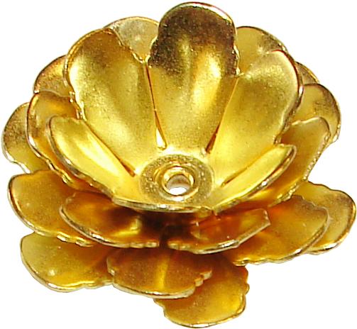 rose flower