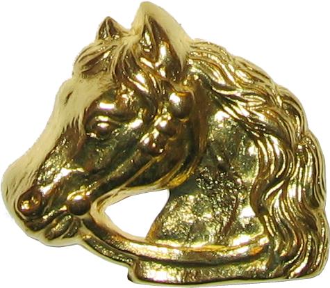caballos horses
