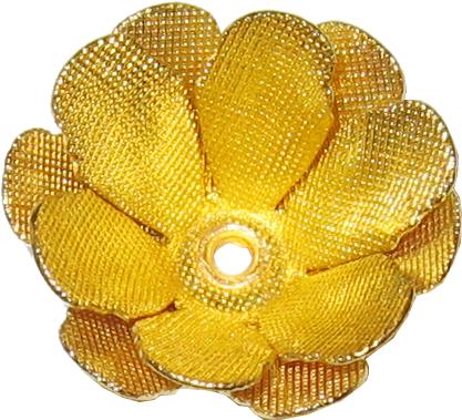 rosas flowers