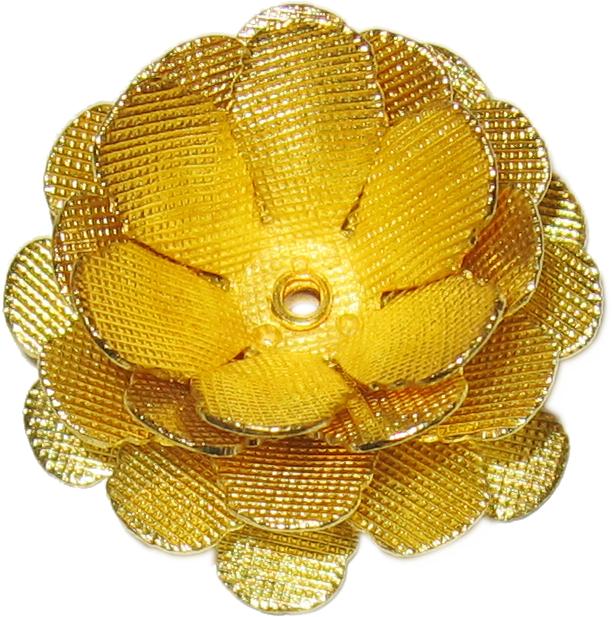 rosas flowers