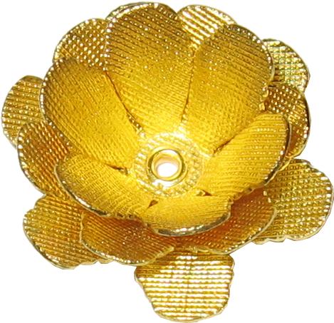 rosas flowers