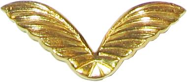 wings
