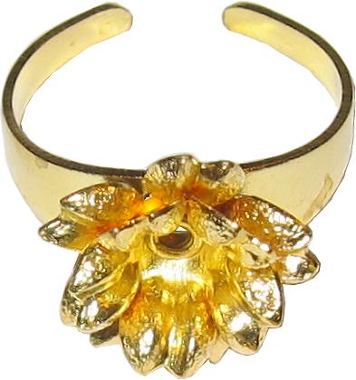 anillos rings