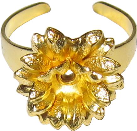 anillos rings