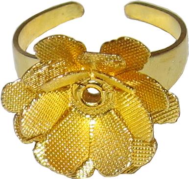anillos rings
