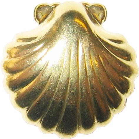 escupiñas seashell