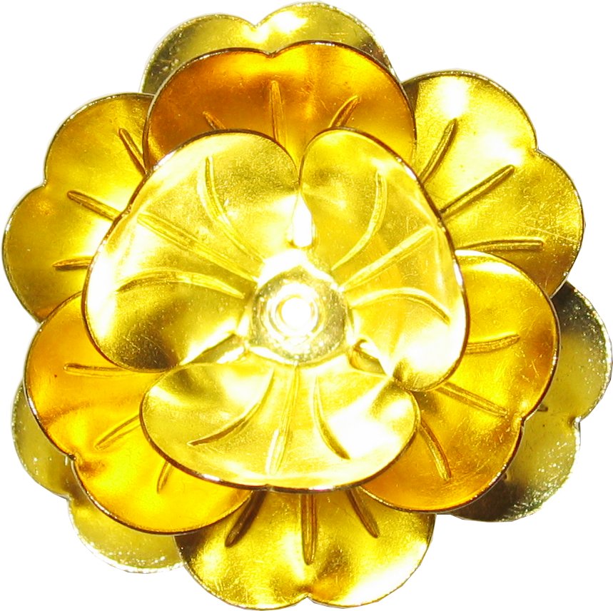 rosas flores rpse flower