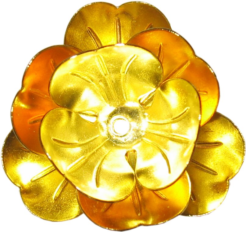 rosas flores rose flower