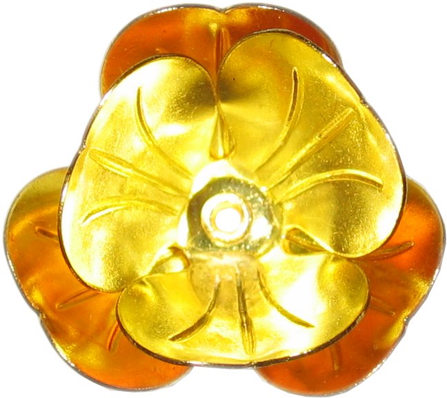 rosas flores rose flower