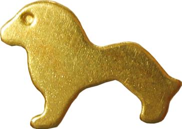 leones lions