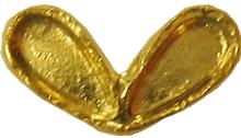 enamel