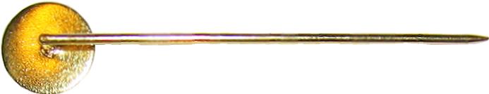 espiga L 