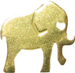 elefantes elephants