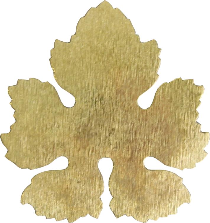 hojas leafs