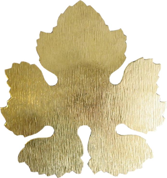 hojas leafs