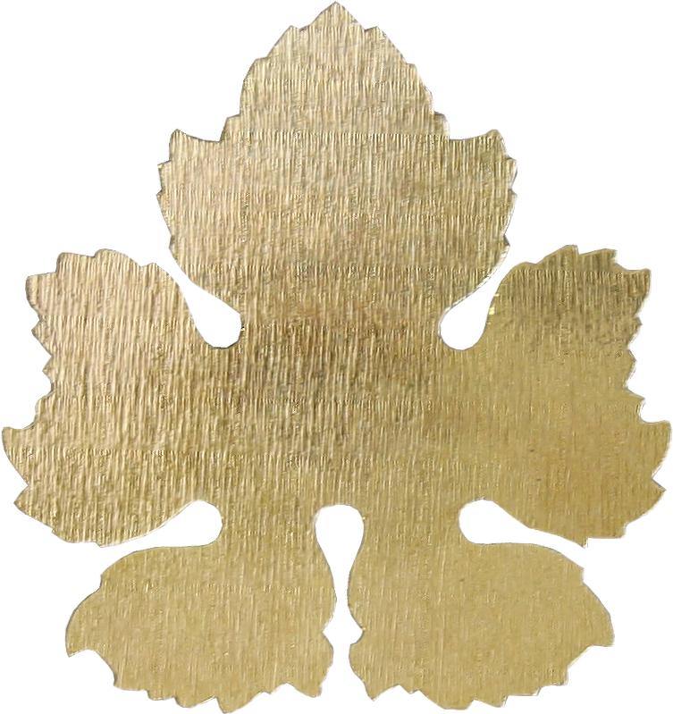 hojas leafs