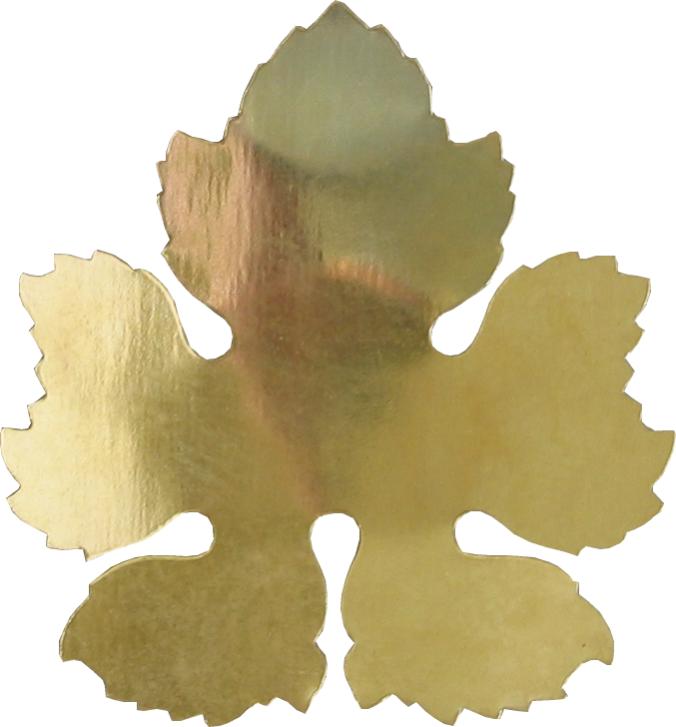 hojas leafs