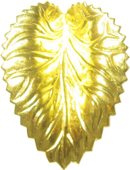 hojas leafs