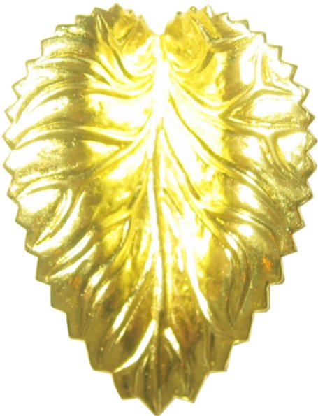 hojas leafs