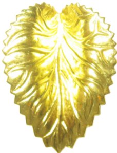 hojas leafs