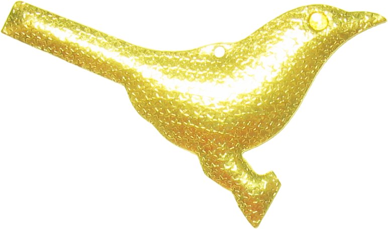 pajaros birds