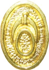 shoes beads