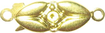 Broches 
