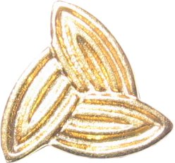 shoes beads