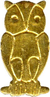 animales buho buhos owl