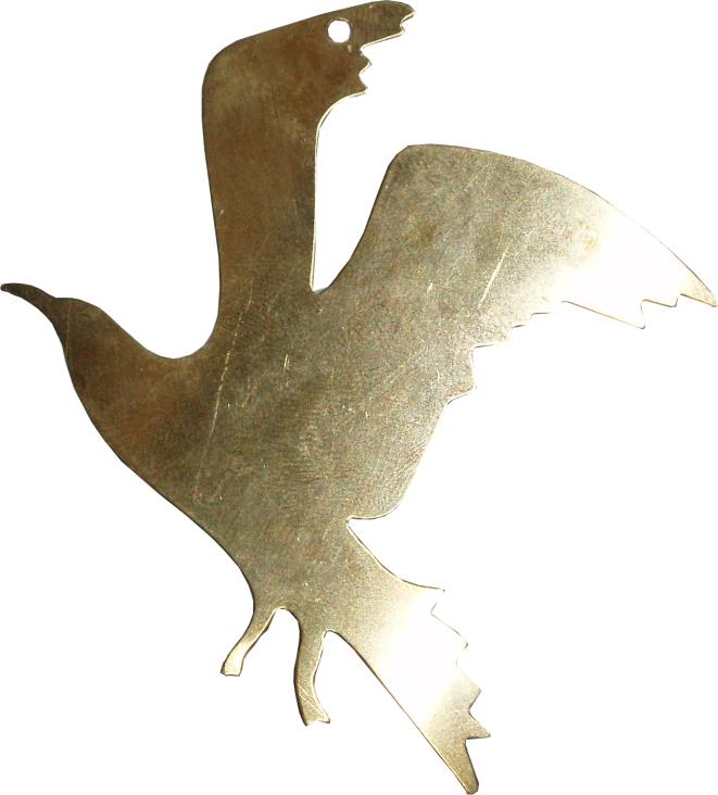 seagull bird mouette oiseau ucello gabbiano