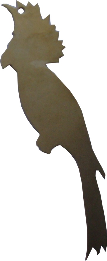 seagull bird mouette oiseau ucello gabbiano